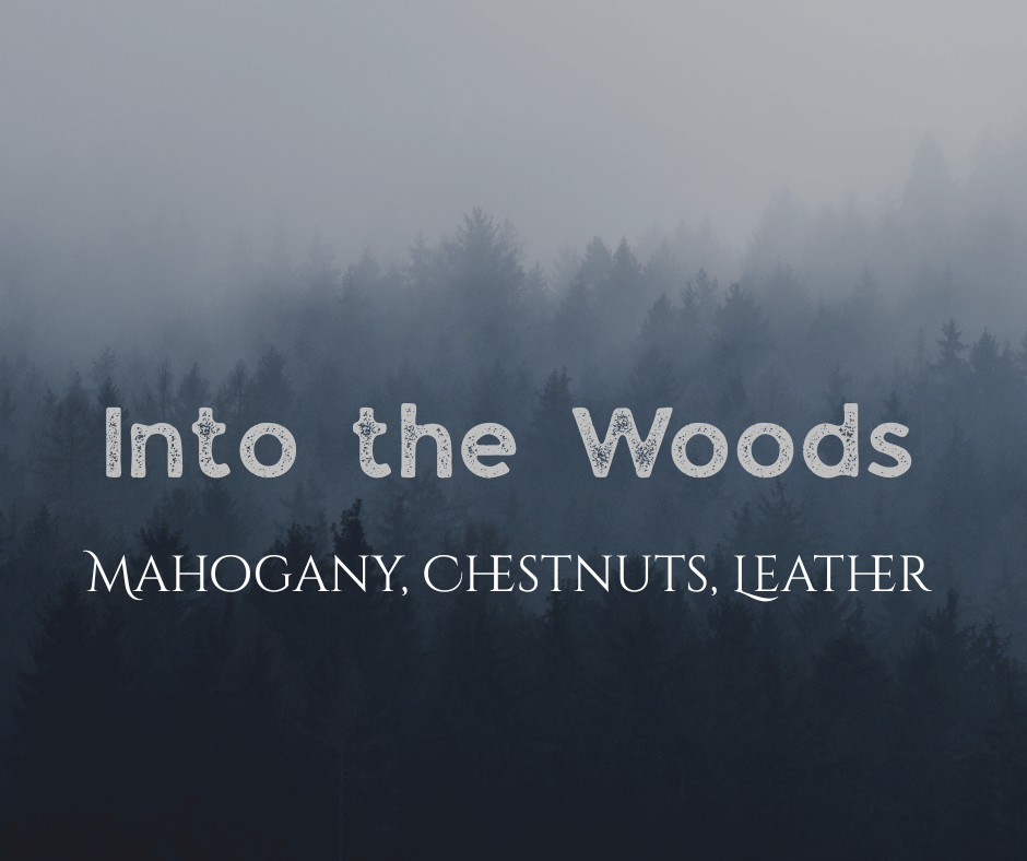 Shave and Shampoo Bar