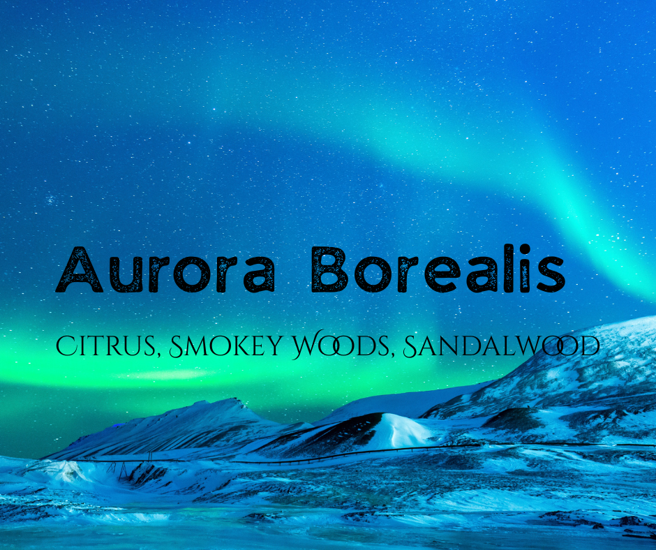 Shave and Shampoo Bar