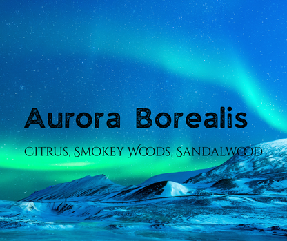 Shave and Shampoo Bar