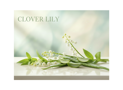 Signature Clover Lily