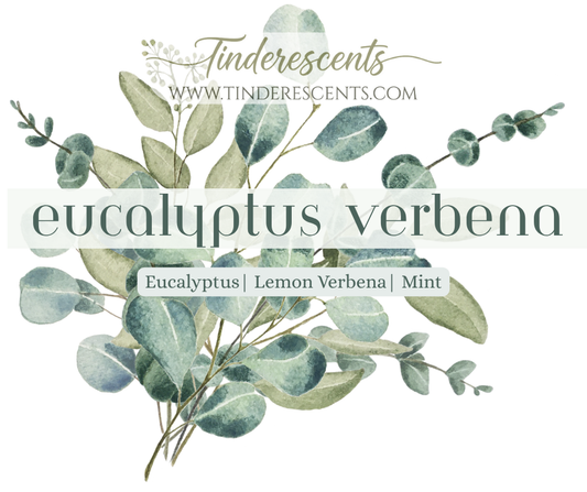Eucalyptus Verbena